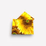 Spilvendrāna 65×65 / 100% kokvilna satīns