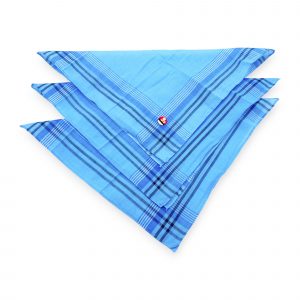 Klasisks auduma kabatlakatiņš vīriešiem 36×36 cm (gaiši zils) - Image 3