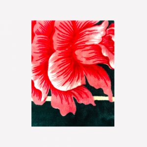Biezs plīša pleds 160x210 cm – silta mikrošķiedras sega un gultas pārklājs - Image 8